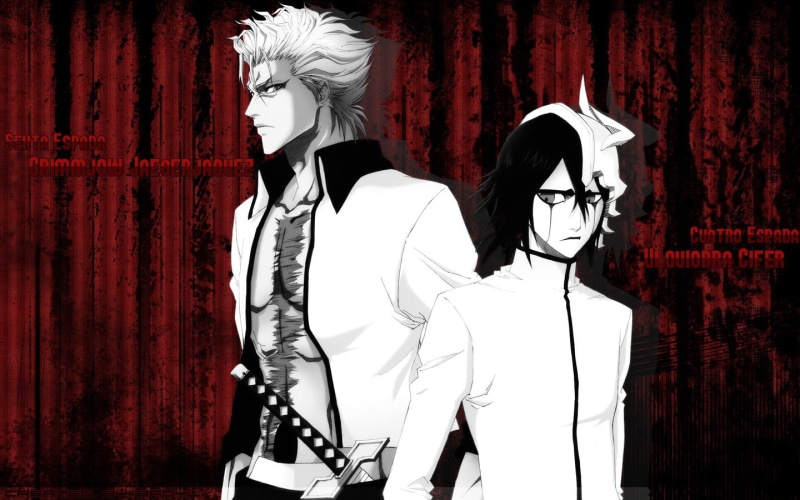 art, bleach, 720P, anime, hd, ulquiorra cifer, grimmjow jaegerjaquez, espada