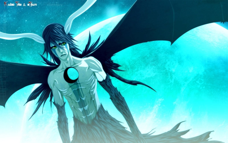 tank, animal wildlife, animals in the wild, swimming, animal themes, Ulquiorra Cifer, water, one person, animal, sea, undersea, fish, outdoors, Bleach