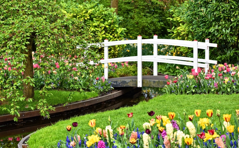real people, Plants, pathways, Green, water, woodenbridge, walkway, flowering plant, Tulips, Photography, ornamental garden, gardening, Springtime, Trees