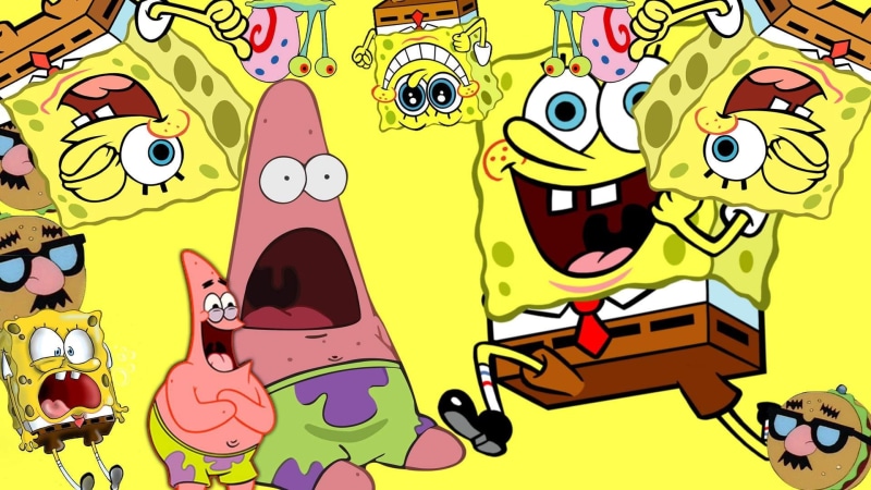 facial expression, multi colored, pets, spongebob, cartoon, domestic, food, SpongeBob SquarePants, animal wildlife, emotion, nickelodeon, bird, mammal