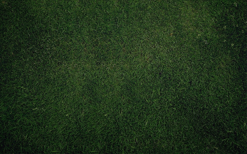 1080P, close-up, plant, grass, texture, stadium, lawn, textured, soccer, environment, green Color, grass Area, backdrop, artificial, full frame, pattern