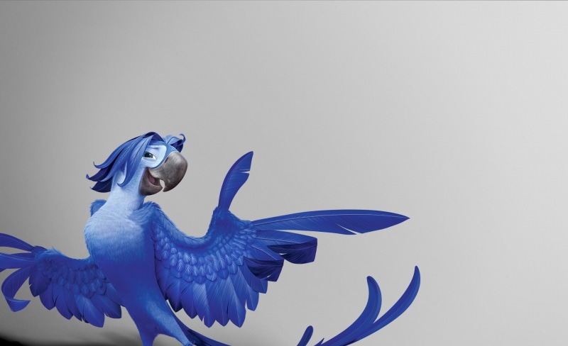 Movie, comedy, animal wing, animal body part, illustration, one animal, Film, Parrot, Cartoons, studio shot, Roberto, Adventure, indoors, rio, character