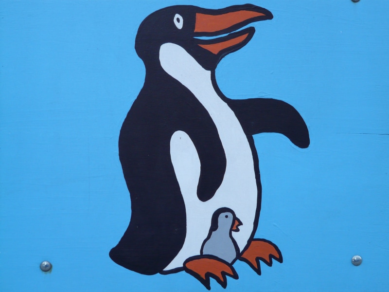 Paint, Image, bird, vertebrate, day, Penguin, illustration, animal representation, art and craft, drawing, Figure, design, 2K, craft, black, creativity
