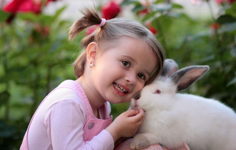 innocence, adorable, girl, pets, animal, 4K, kid, enjoyment, outdoors, pretty, happiness, woman, portrait, blurry, person, child, women, childhood, females