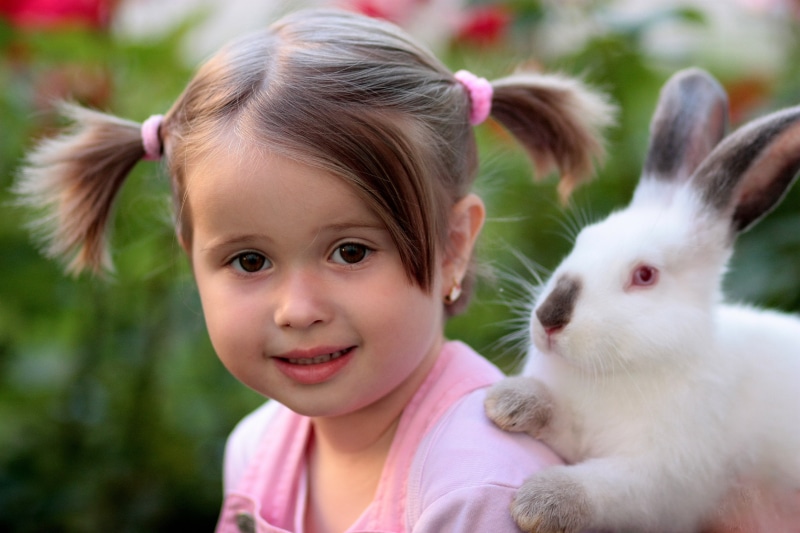 positive emotion, rabbit, looking at camera, happiness, females, 4K, wearing, friendship, hairstyle, springtime, animal, love, domestic, girl, outdoors