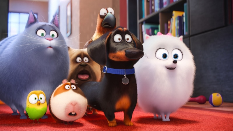 pet, s, 4K, life, secret, movie, scene, The Secret Life of Pets, cartoon, dog, Best Animation Movies of 2016