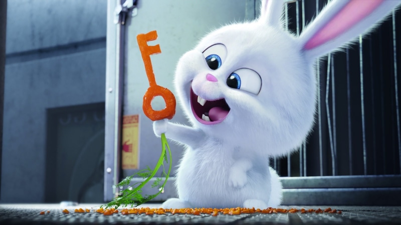 vertebrate, whisker, domestic cat, architecture, domestic animals, Rabbit, mouth, building exterior, animal, domestic, mouth open, The secret life of pets