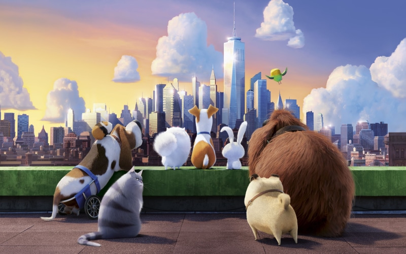 cloud - sky, animal themes, mammal, building, pets, movie, no people, Movies, nature, vertebrate, office building exterior, digital composite, landscape