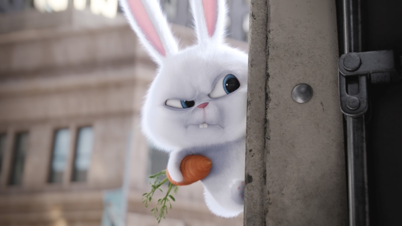 Best Animation Movies of 2016, cartoon, rabbit, The Secret Life of Pets, 4K