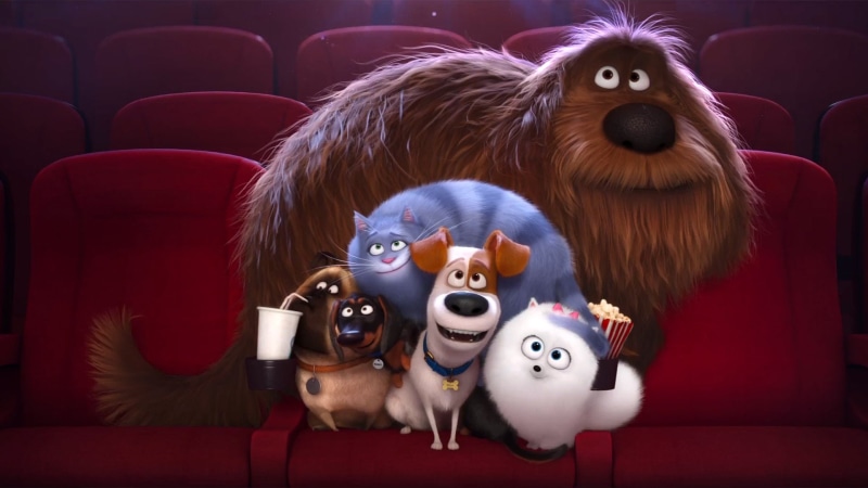 1080P, The Secret Life of Pets, Movie