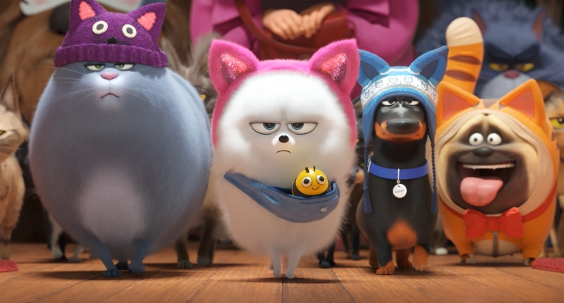 Movie, The Secret Life of Pets 2, 2K