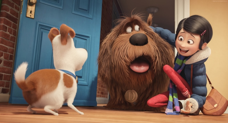 The Secret Life of Pets, cartoon, Best Animation Movies of 2016, 2K, dog