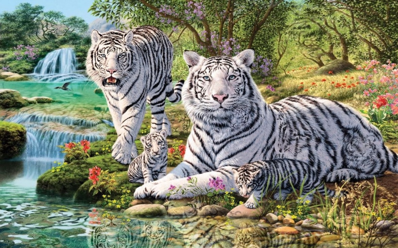 animals, white, two, mobile, art, waterfall, phones, tiger, jungle, 1080P, desktop, hd, cubs