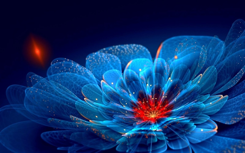 flower, 1080P, flower petals, 3d and abstract, blue, sparkles, neon