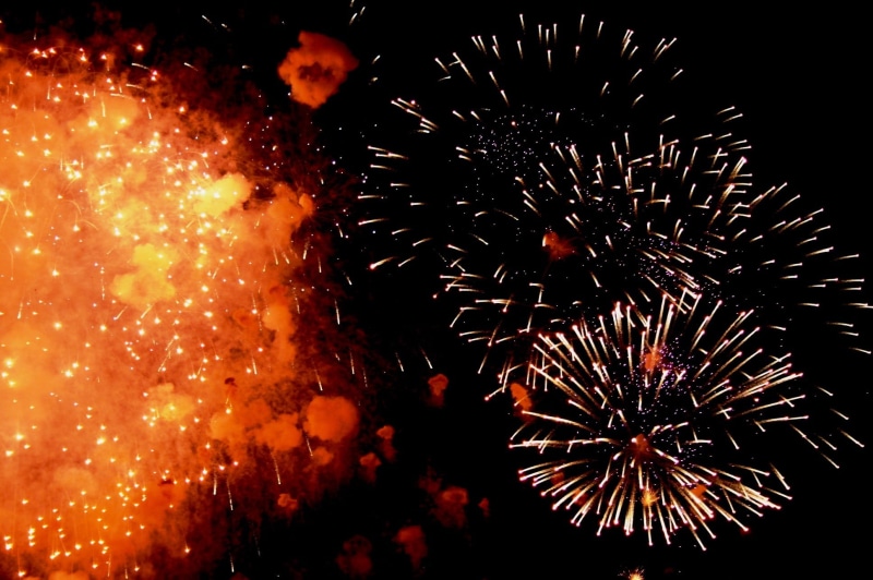 display, motion, beauty in nature, smoke, celebration, fire - Natural Phenomenon, puffs, firework, nature, marine, 1080P, sea urchin, event, glowing, exploding