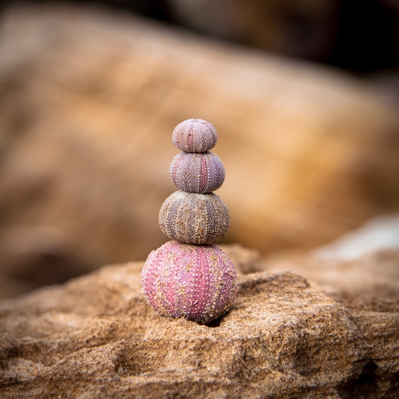 stack, summer, pebble, balance, no people, 1080P, coastal, balanced, stone - object, purple, outdoors, selective focus, beauty, sea, wood - material, ocean