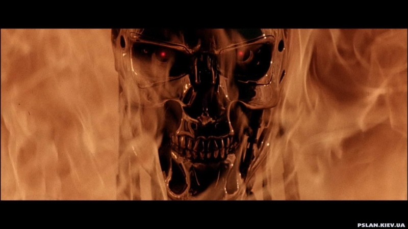 indoors, helmet, apocalyptic, fire, bone, close-up, Terminator, endoskeleton, body part, transfer print, human skeleton, front view, 1080P, cyborg, one animal