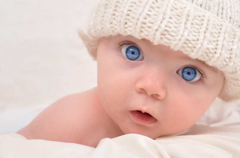 headshot, young, portrait, toddler, one Person, babyhood, innocence, fun, beauty, boys, winter, looking, white, facial Expression, new Life, baby Girls