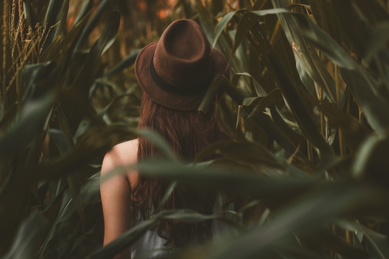 fashion, corn, land, standing, farm, long hair, model, hairstyle, growth, field, cereal plant, alone, crop, women, rear view, woman, nature, human hair
