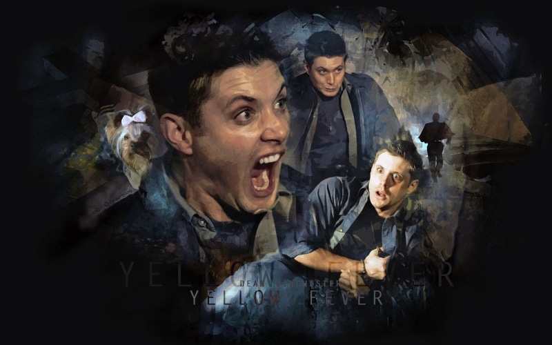 720P, dean, winchester supernatural scream, deeply