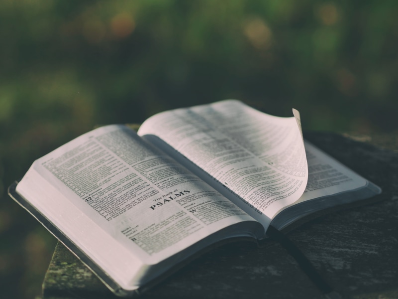 publication, expertise, grey, literature, belief, psalm, communication, still life, day, table, education, bible, close-up, religion, textbook, learning
