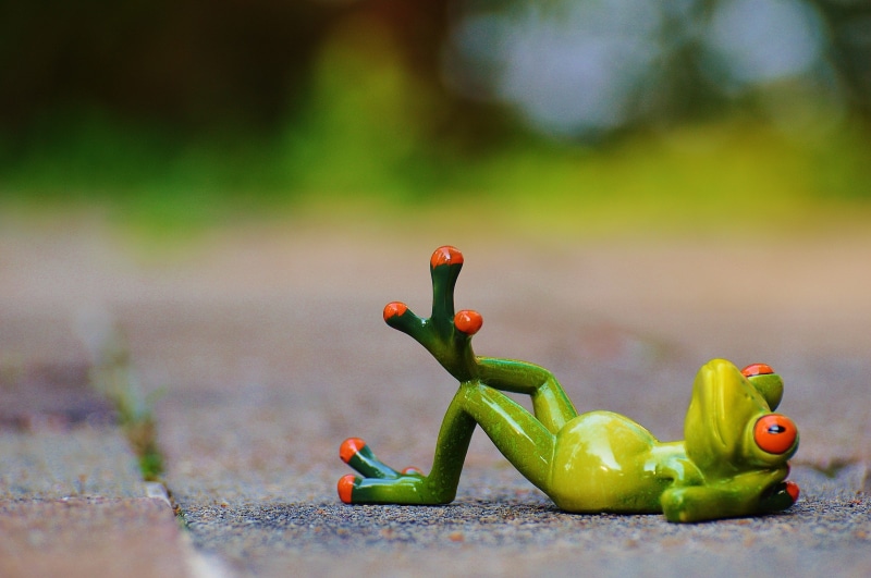 freshness, day, no people, red, green color, relaxed, animal themes, Figure, gray, lying, chili pepper, Rest, small, pepper, close-up, nature, Frog, cute