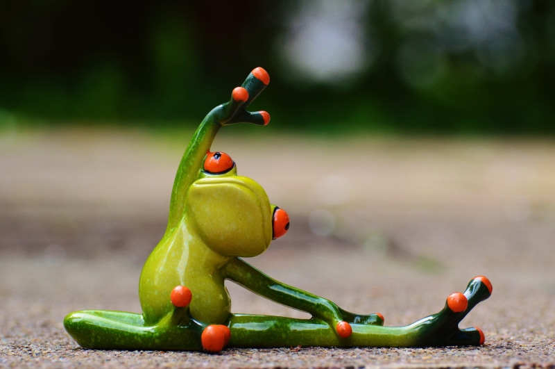 no people, daytime, training, food, sport, green, creativity, knee, sporty, selective focus, frog, toy, day, gymnastics, close-up, fit, 4K, pepper, food and drink