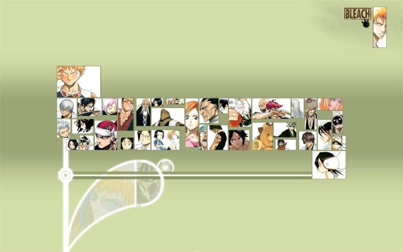 Renji Abarai, Hisagi Shūhei, Bleach, Kenpachi Zaraki, Sōsuke Aizen, Yachiru Kusajishi, Yoruichi Shihôin, Ikkaku Madarame, Karin Kurosaki, Shunsui Kyōraku