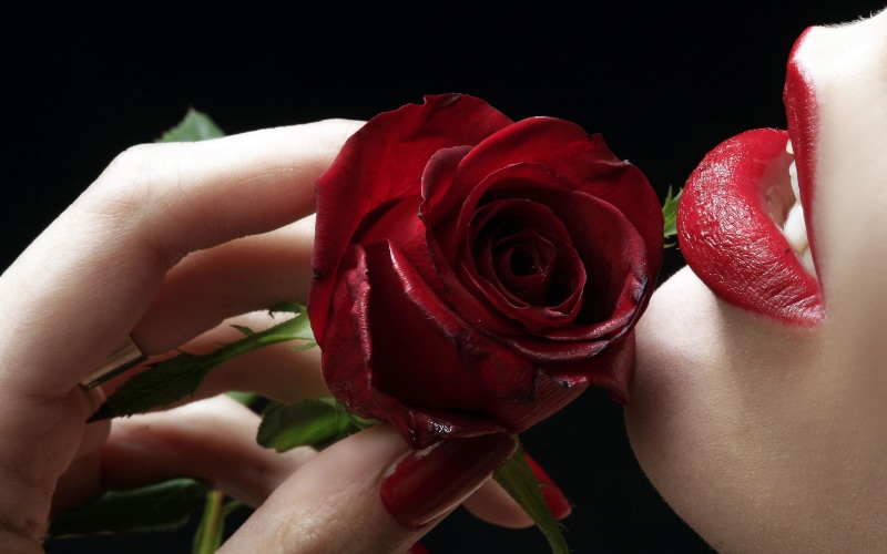 rose - flower, lipstick, human hand, close-up, k, vulnerability, flower head, valentines day - holiday, mobile, holding, one person, freshness