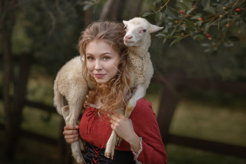 hair, 720P, leisure activity, Alice Tarasenko, mammal, domestic animals, front view, outdoors, depth of field, animals, standing, blonde, portrait, lamb