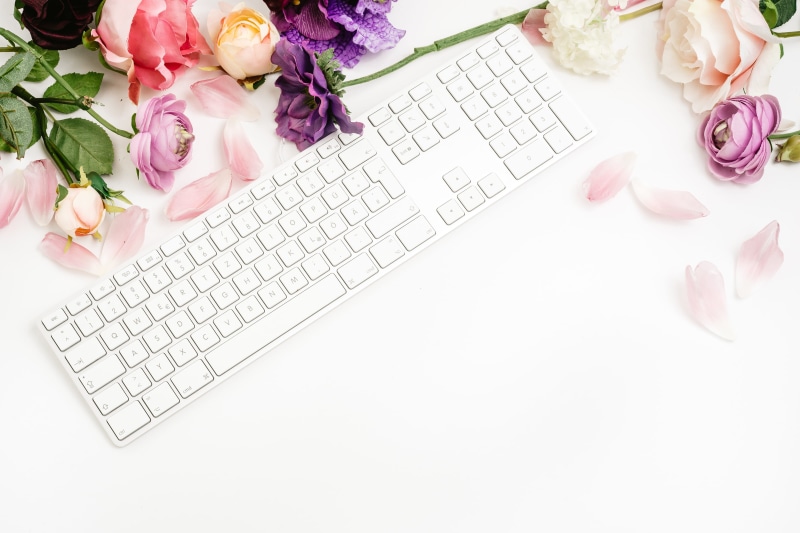 work, inflorescence, flat, petal, feminine, top, modern, minimal, studio shot, flatlay, website, nature, flower arrangement, up, flower, photographer, white