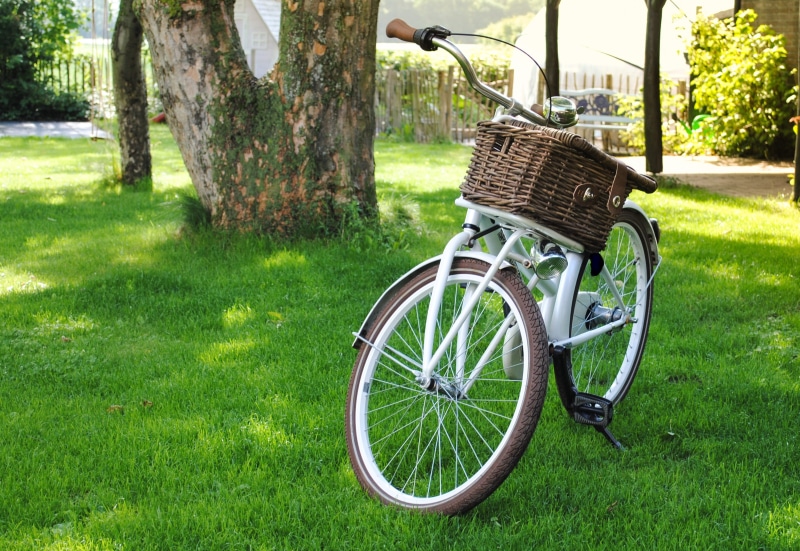 white, day, bicycle, green grass, daytime, nature, bicycle basket, commuter bicycle, bike, plant, transport, grass field, retro, cycle, growth, bell, outdoors