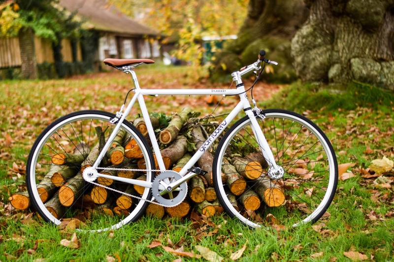 grass, metal, cycling, basket, tree, mode of transportation, green Color, parking, stationary, retro Styled, old, day, outdoors, relaxation, commuter, leaf