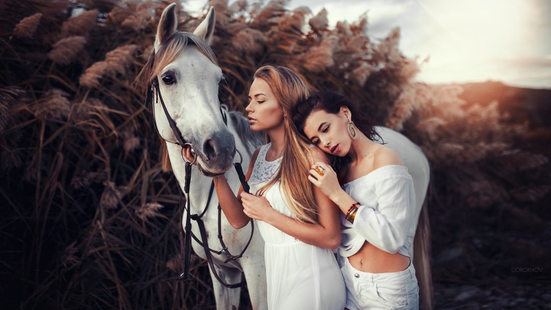 Ivan Gorokhov, two women, Maria Puchnina, animals, white dress, horse, women, 1080P, women with horse, model, white tops
