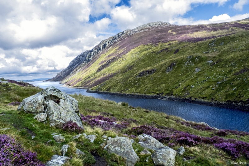 green Color, nature, North Wales, grassland, Snowdonia, Wales  UK, 2K, scenics, purple, europe, rock - Object, mountains, valley, outdoors, mountain, summer