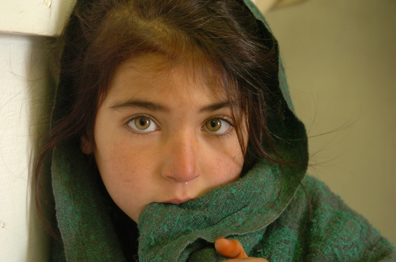 portrait, hazel eyes, brunette, little girl, children, Afghan, looking at viewer, 1080P