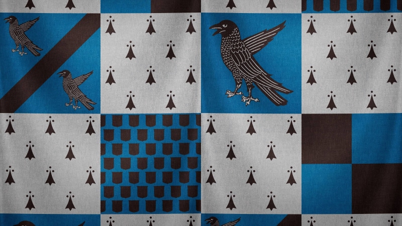indoors, shape, pattern, art and craft, Harry Potter, architecture, Ravenclaw, nature, no people, in a row, close-up, craft, wall - building feature, bird