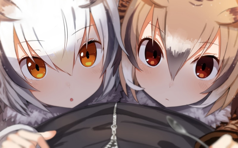 hair, red, konachan, 1080P, short, anthropomorphism, 237739, orange, com, friends, eagle-owl, 5240mosu, white, (kemono, kemono, eyes, eurasian, brown