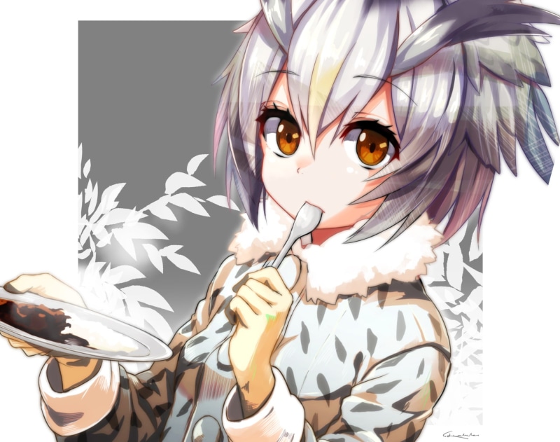 Kemono Friends, 1080P, Anime, Northern White-faced Owl (Kemono Friends)