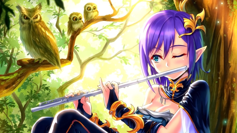 blue eyes, animals, short hair, anime, 1080P, looking away, birds, musical instrument, wink, pointed ears, anime girls, owl