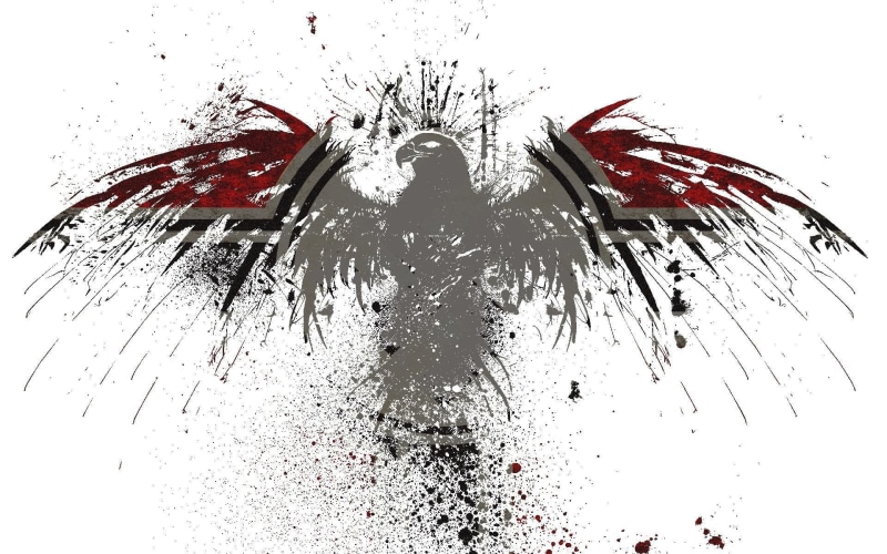 studio shot, digital composite, low angle view, wet, logo, white background, water, drop, snow, plant, red, no people, indoors, eagle, close-up, nature