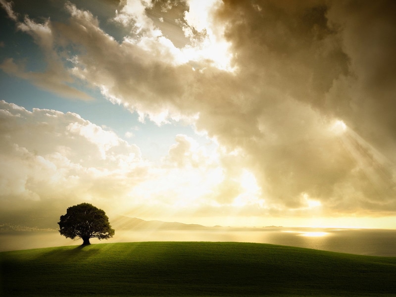 Earth, Landscape, field, horizon, cloud - sky, 720P, sunlight, beauty in nature, rural scene, Cloud, sky, grass, Soon, Morning, Quote, Islam, nature, horizon over land