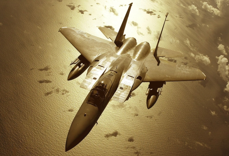 McDonnell Douglas F-15 Eagle, animal themes, mode of transportation, animals in the wild, animal, flying, water, outdoors, air vehicle, no people, 1080P