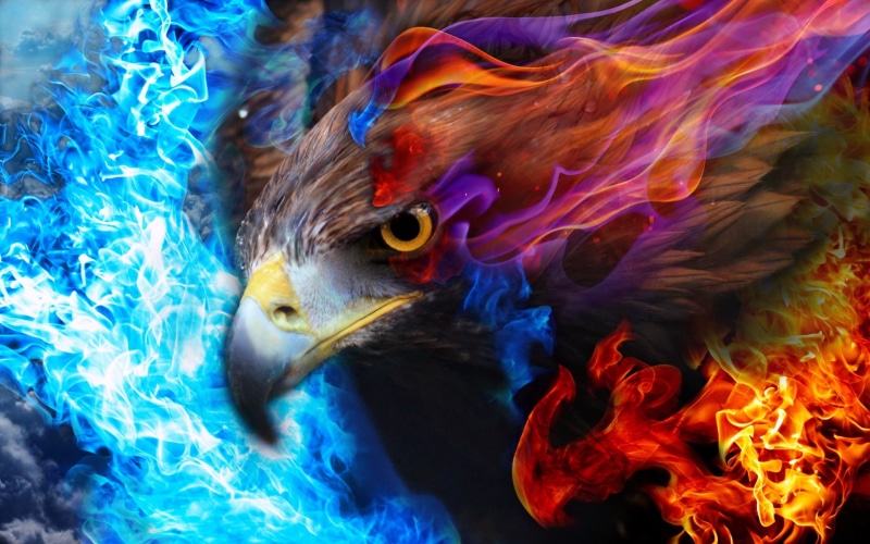 sky, fire, eagle, 1080P