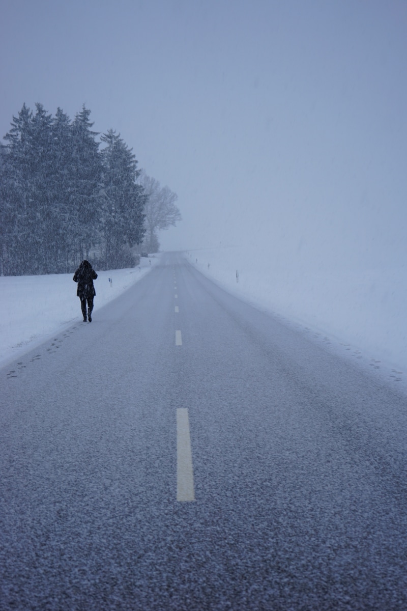 winter storm, rear view, frost, snowfall, day, central reservation, road marking, walking, flake, direction, cold temperature, sign, winter, 5K, transportation