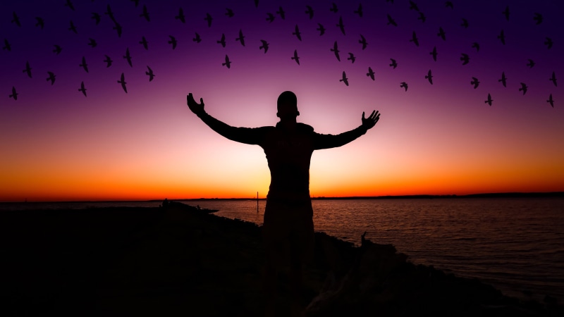 water, limb, one person, arms raised, human limb, Exciting, Silhouette, arms outstretched, Happy mood, scenics - nature, rear view, Sunset, leisure activity
