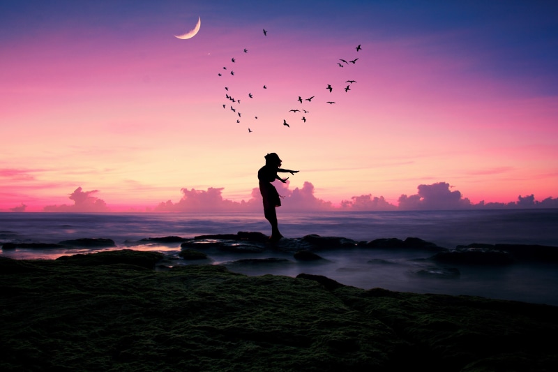 pack, stones, sunset, the flight of the soul, beach, happiness, birds, pose, silhouette, girl, the moon, mood, 4K, a month, sea, twilight, shore