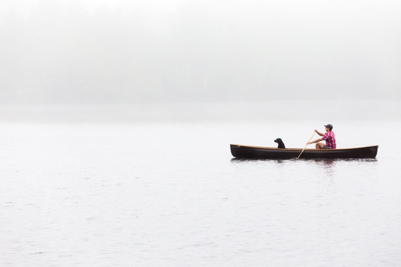 paddling, boat, rowboat, canoe, sport, recreational Pursuit, landscape, tranquility, riding, nautical Vessel, canoeing, body, dog, water, leisure activity