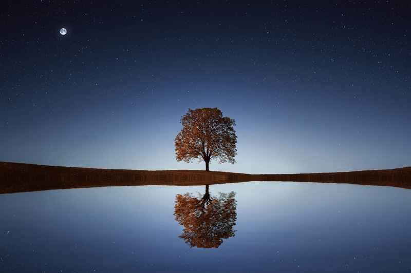 heaven, timing, symmetry, summer, lonely, beauty in nature, field, body, night, reflection, full, clear, moon, foliage, plant, sky, star - space, meadow