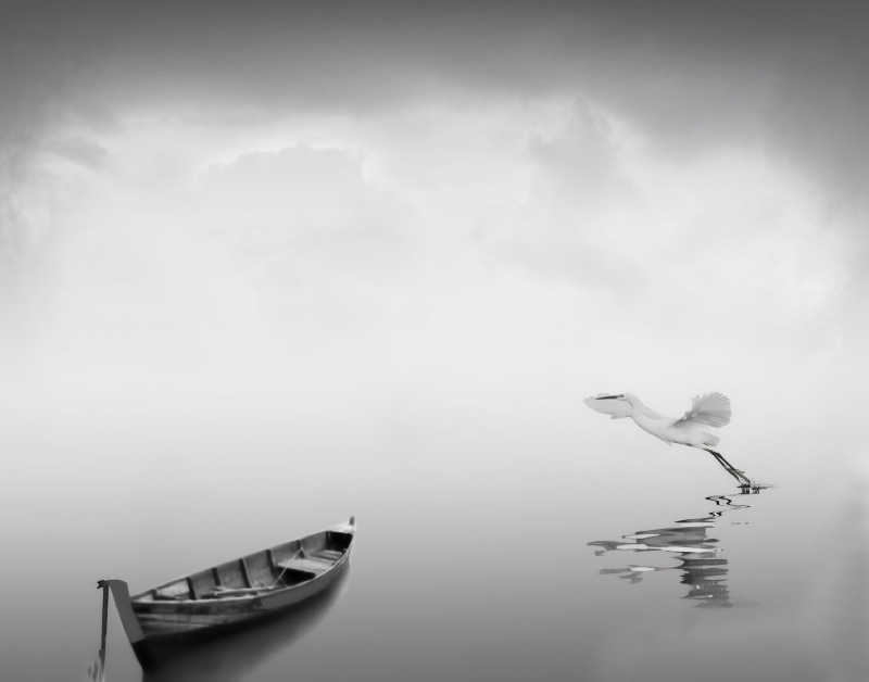 outdoors, boat, bird, Egret, body of water, White  lake, nature, depth of field, brown, John Howard, sea, zoom lens, Pond, Fly, body, 4K, outdoor, misty